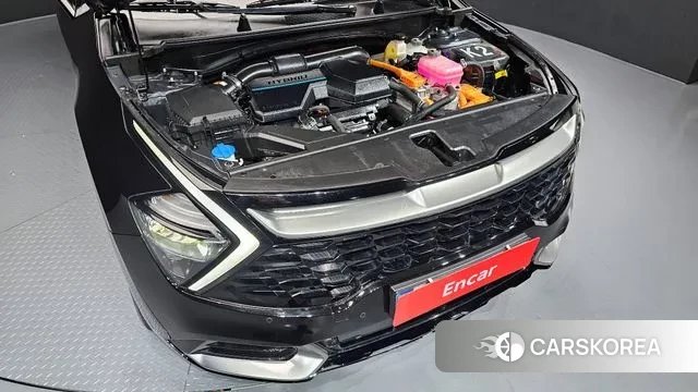 Kia Sportage 5th Generation Hybrid id 3634600 из Кореи 16