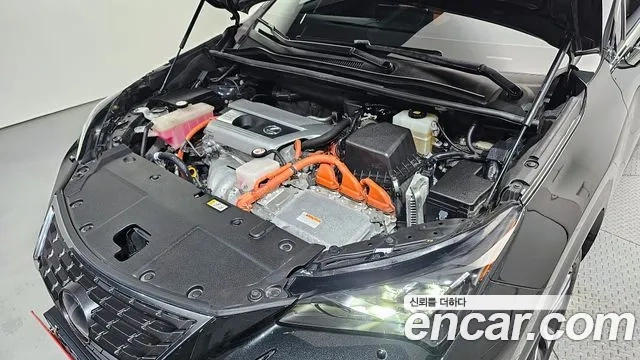 Lexus NX300h id 2860047 из Кореи 16