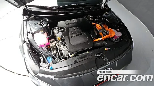 Hyundai Avante Hybrid (CN7) id 2739486 из Кореи 16