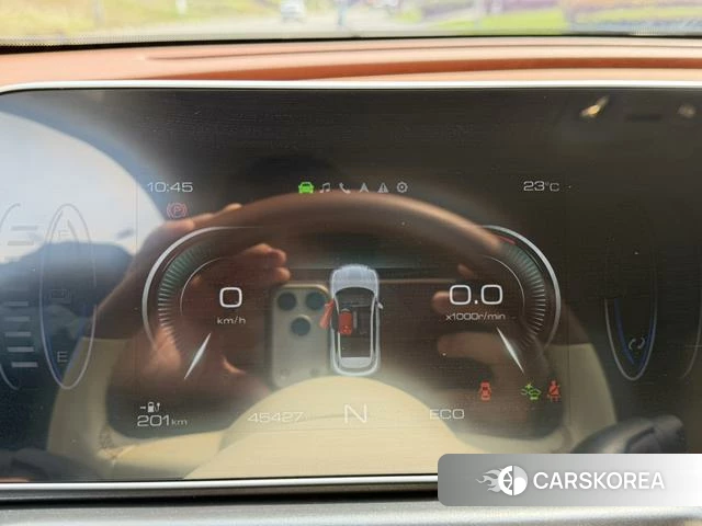 Euler Good cat id 3957813 из Китая 12