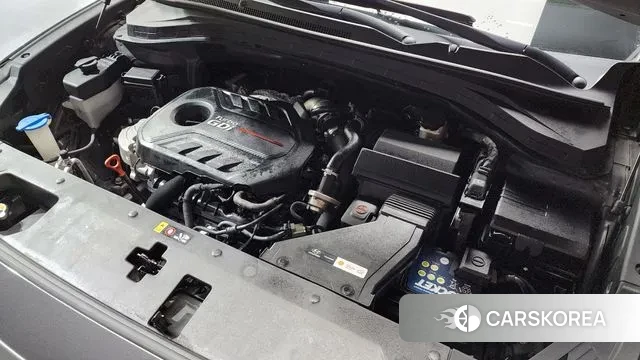 Hyundai Santa Fe TM id 3034276 из Кореи 16