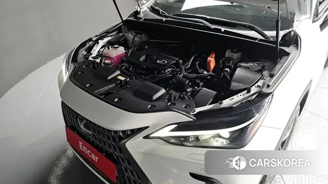 Lexus NX350h Second generation id 3372004 из Кореи 16