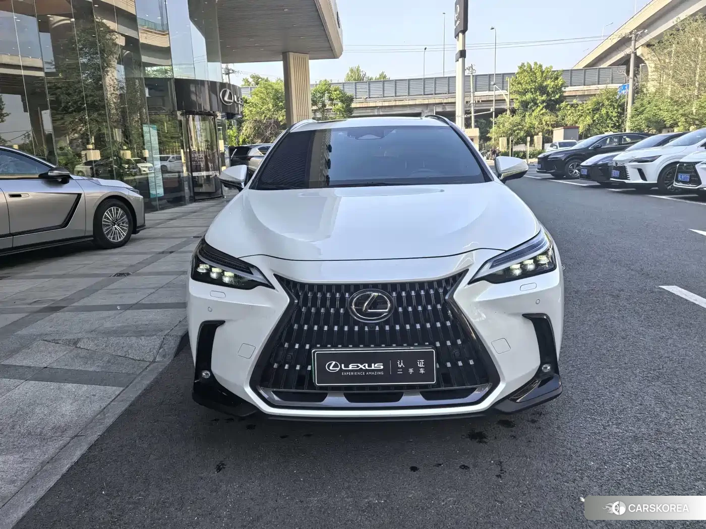 Lexus NX New Energy 2023 Белый из Китая, фото 6