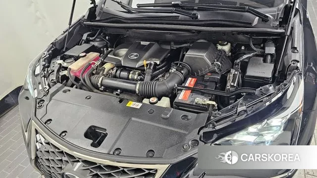 Lexus NX300 id 3449852 из Кореи 16