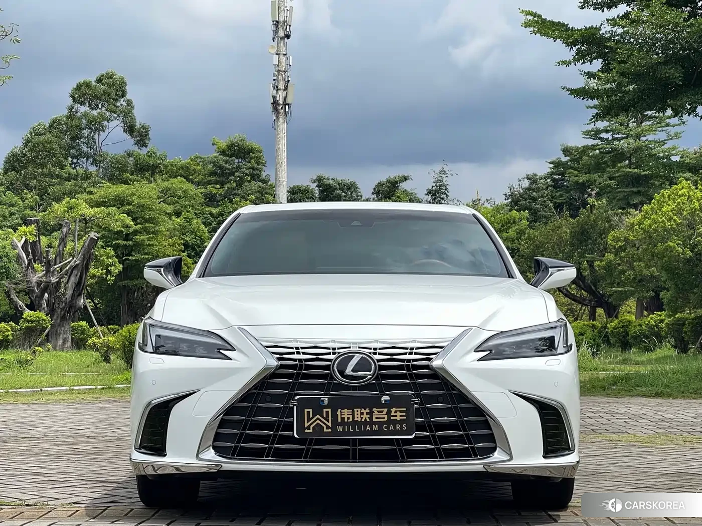 Lexus ES id 4644625 из Китая 21