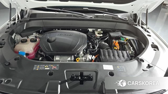 Renault Korea (Samsung) Grand Coleos id 4539986 из Кореи 32