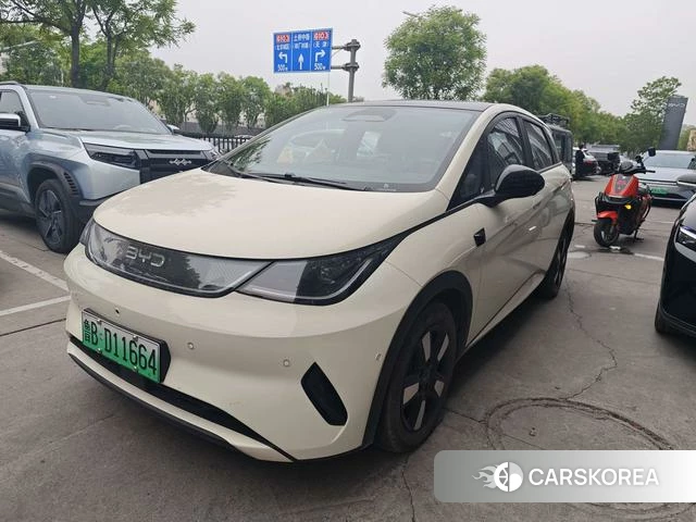 BYD dolphin id 4205755 из Китая 13