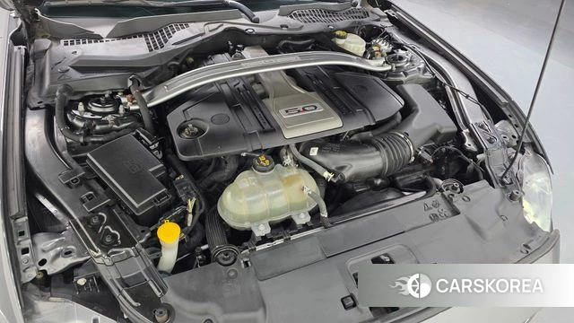 Ford Mustang id 3829198 из Кореи 16