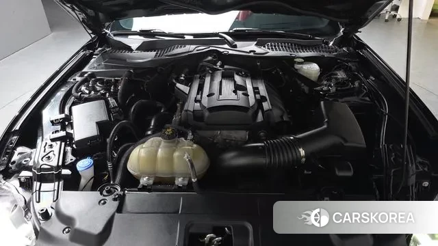 Ford Mustang id 3752112 из Кореи 16