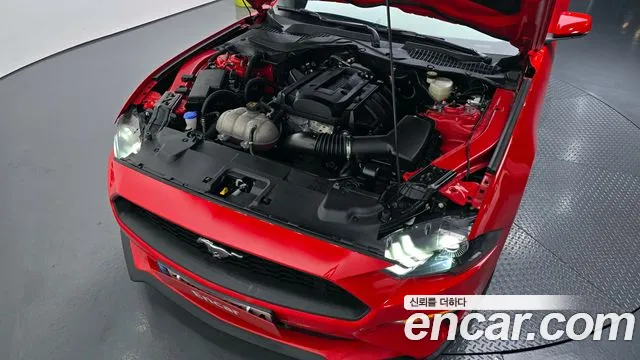 Ford Mustang id 2812760 из Кореи 16