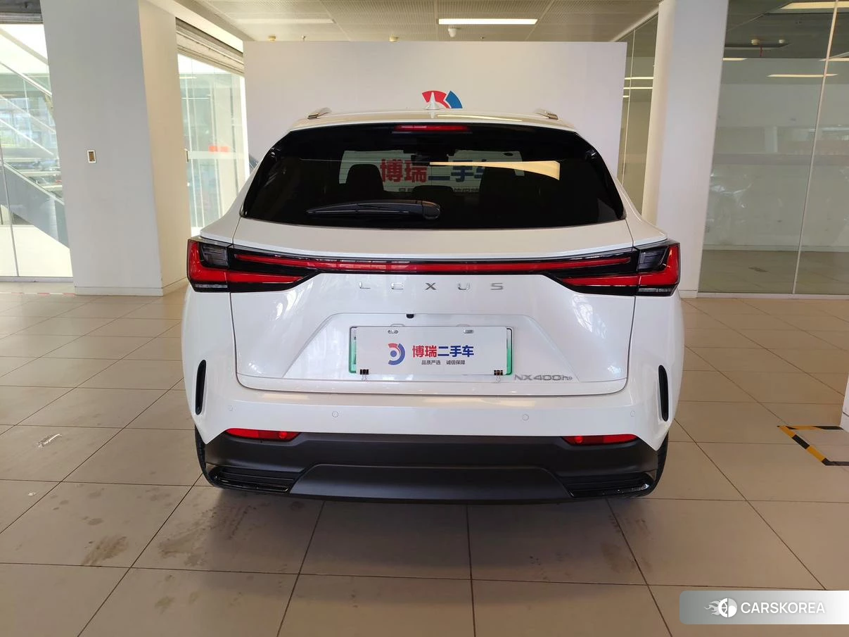 Lexus NX PHEV id 4498690 из Китая 30