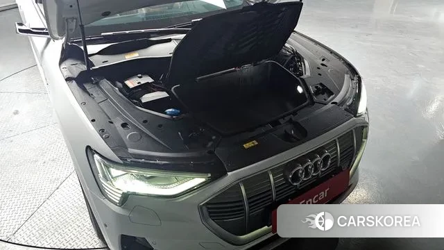 Audi e-Tron id 3717849 из Кореи 16