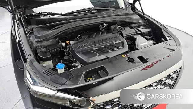 Hyundai Santa Fe TM id 3045654 из Кореи 16