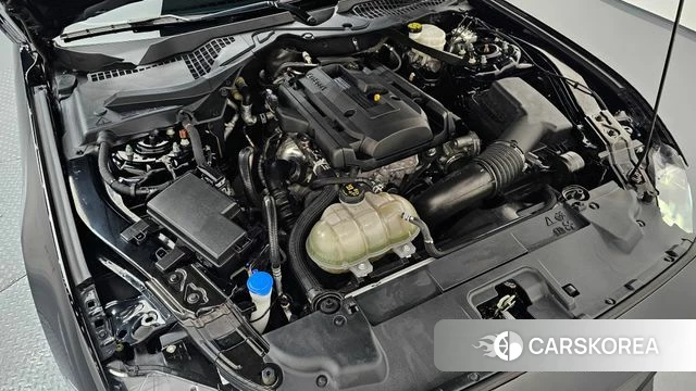 Ford Mustang id 4444371 из Кореи 27