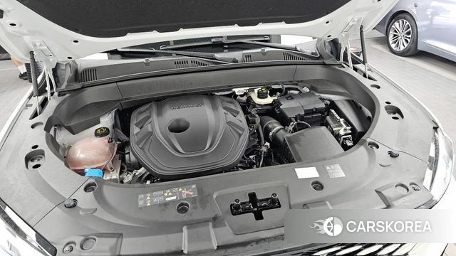 Renault Korea (Samsung) Grand Coleos id 4578674 из Кореи 32