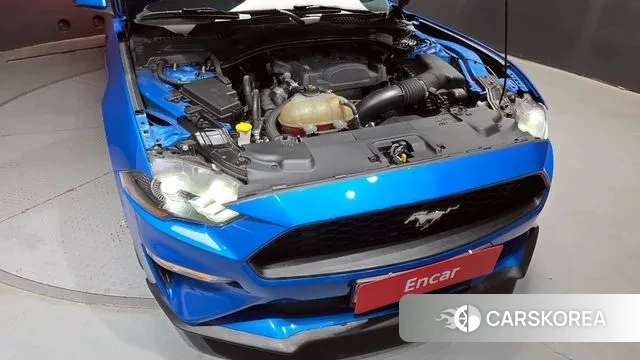 Ford Mustang id 3622101 из Кореи 16