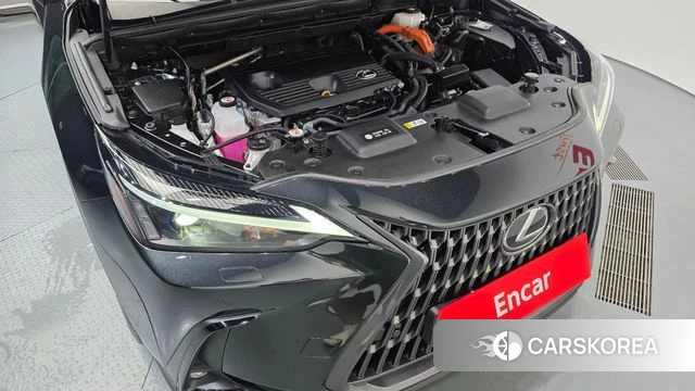 Lexus NX350h Second generation id 4618162 из Кореи 28