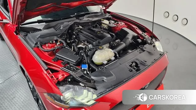 Ford Mustang id 3696894 из Кореи 16