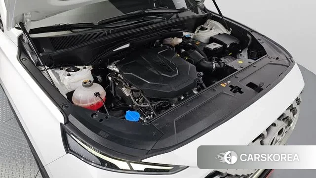 Hyundai The New Santa Fe id 3295175 из Кореи 16