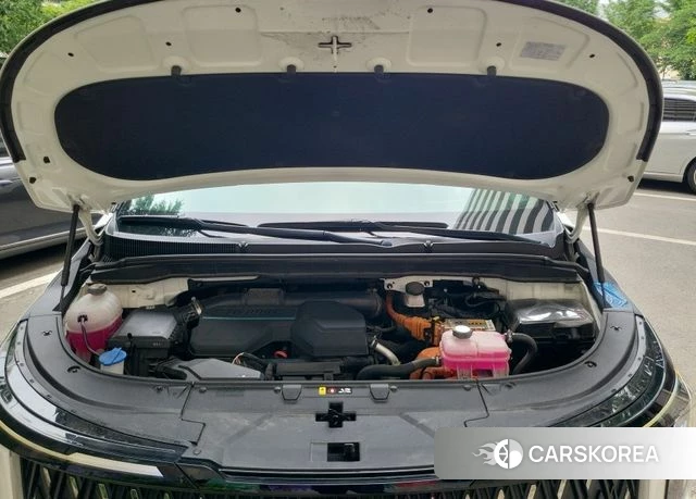 Kia The New Carnival 4th Generation 2024 Жемчужный цвет из Кореи, фото 6