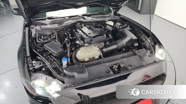 Ford Mustang id 3576943 из Кореи 16