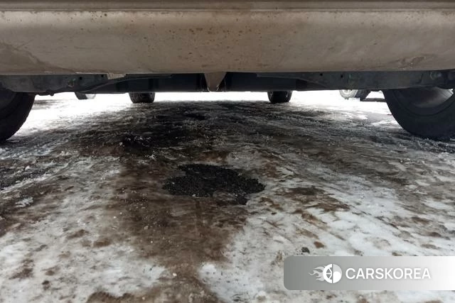 Volkswagen Magotan PHEV id 4328772 из Китая 13