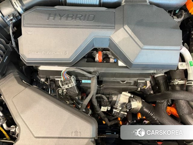 Kia The New Carnival 4th Generation id 3863784 из Кореи 14