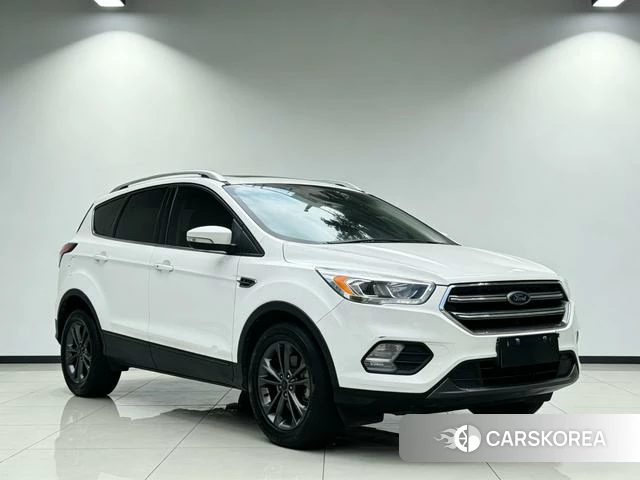 Ford Winged Tiger 2019 Белый из Китая, фото 6