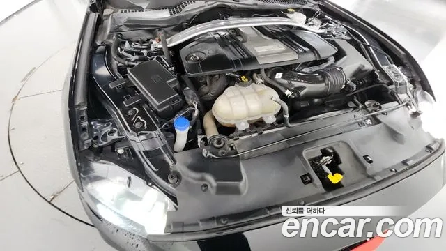 Ford Mustang id 2927324 из Кореи 16