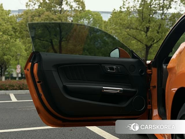 Ford Mustang id 4254582 из Китая 11