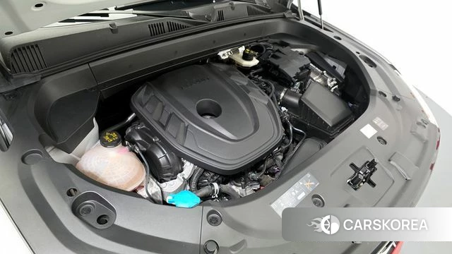 Renault Korea (Samsung) Grand Coleos id 4329482 из Кореи 29