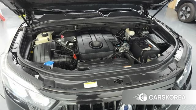 Ssangyong Rexton Sports Cannes id 4179977 из Кореи 17