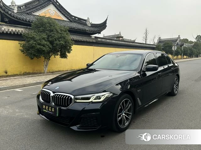 BMW 5 series PHEV id 4334942 из Китая 7
