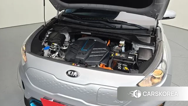 Kia Niro EV id 3084361 из Кореи 16