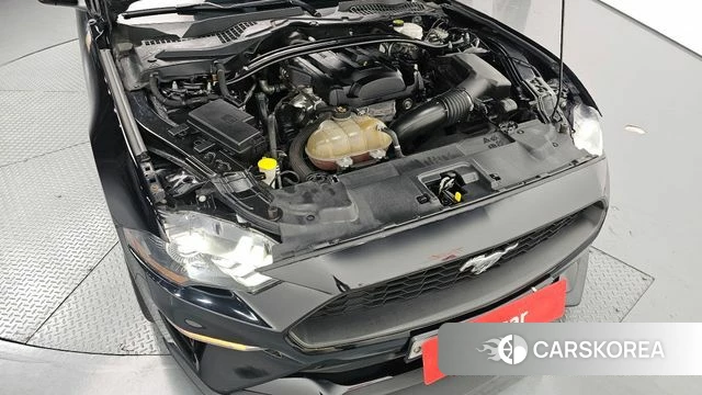 Ford Mustang id 4225730 из Кореи 16