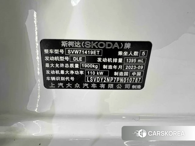 Skoda Speed pie id 4368045 из Китая 18