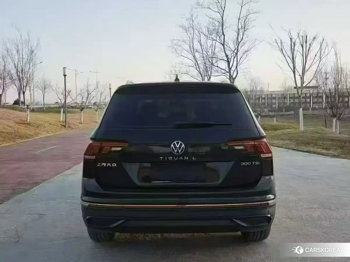 Volkswagen Tiguan L 2024 Черный из Китая, фото 6