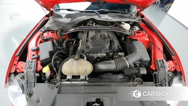 Ford Mustang id 3966313 из Кореи 16