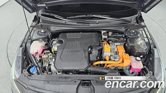 Hyundai Avante Hybrid (CN7) id 2501126 из Кореи 16