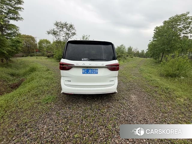Chase G20 2020 Белый из Китая, фото 6