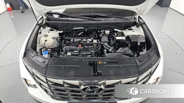 Hyundai Tucson (NX4) id 3389684 из Кореи 16