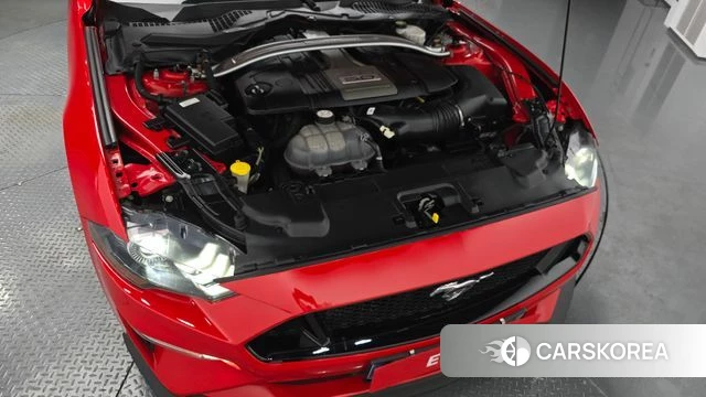 Ford Mustang id 3955479 из Кореи 16