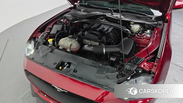 Ford Mustang id 4390052 из Кореи 26