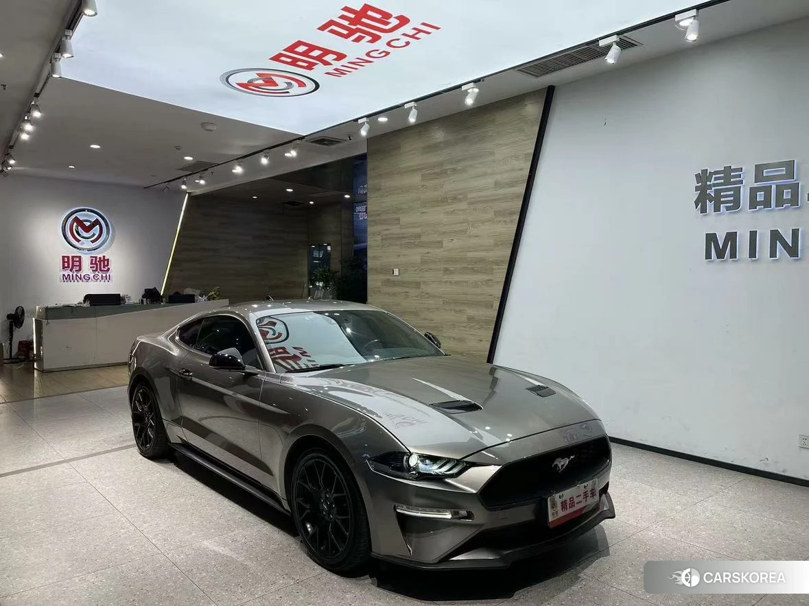 Ford Mustang id 4479446 из Китая 15