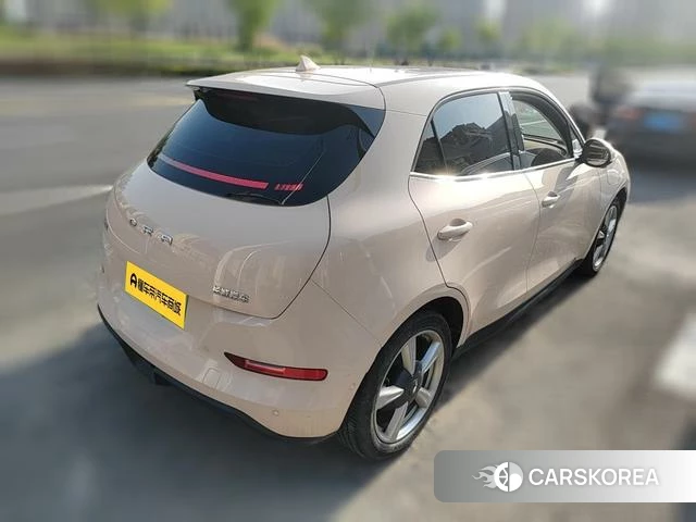 Euler Good cat 2022 Другой из Китая, фото 6