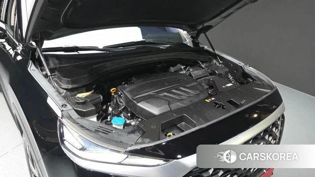 Hyundai Santa Fe TM id 4595819 из Кореи 28