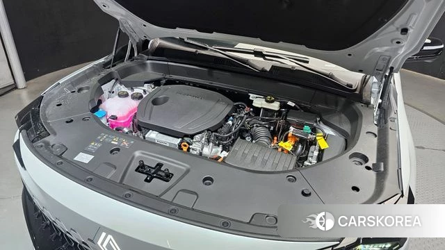 Renault Korea (Samsung) Filant id 4380778 из Кореи 26