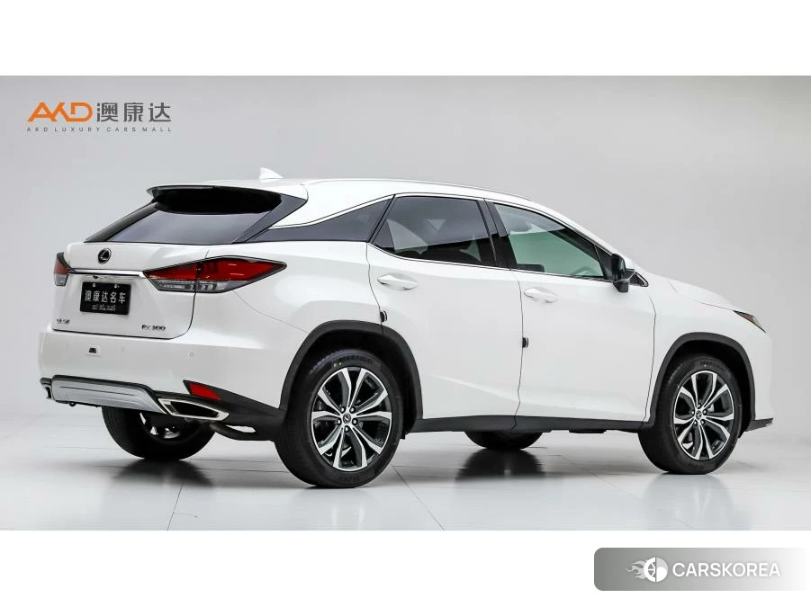 Lexus RX 2020 Белый из Китая, фото 6