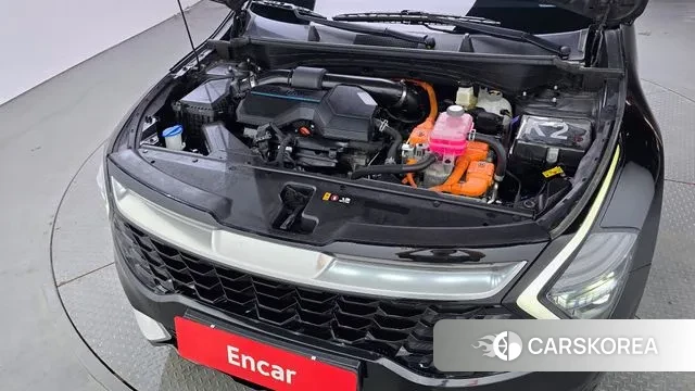 Kia Sportage 5th Generation Hybrid id 3317356 из Кореи 16