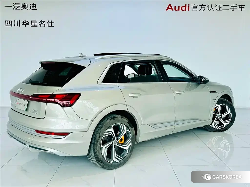 Audi e-tron 2022 Champagne/brown из Китая, фото 6